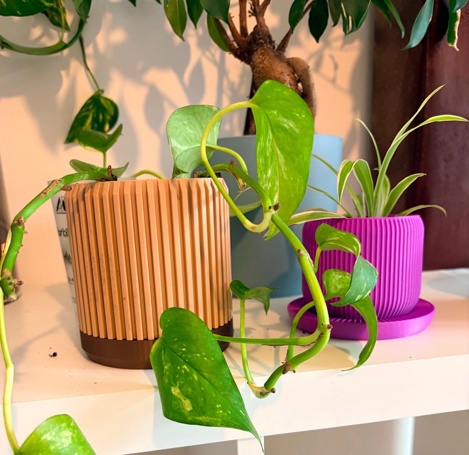 Vase cache-pot imprimé en 3D